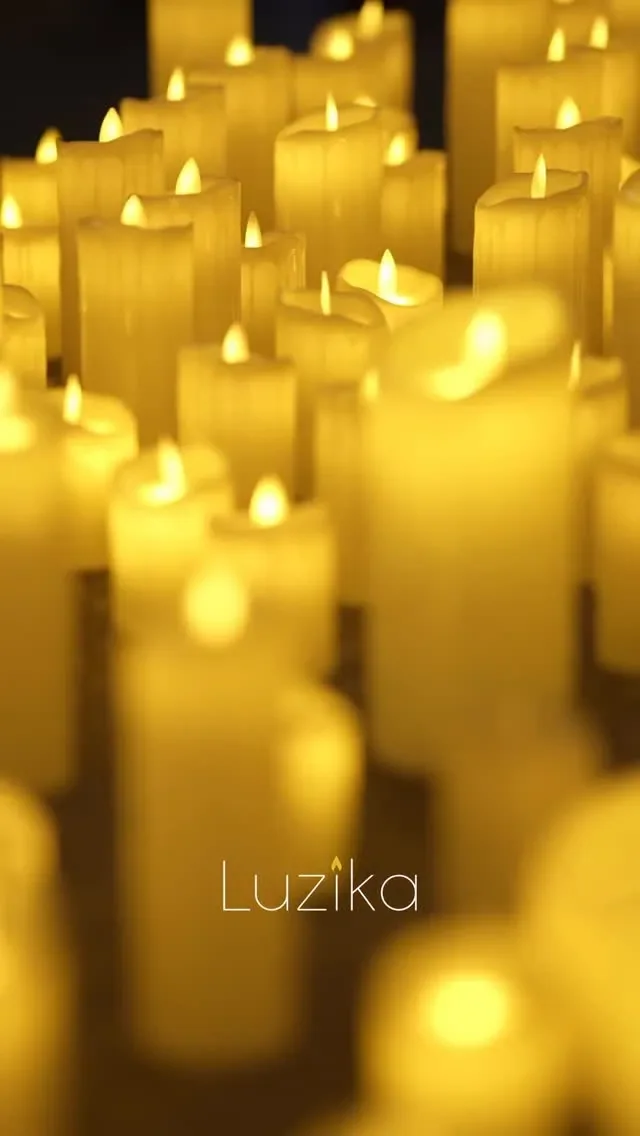 تصویر 4 از کنسرت لوزیکا